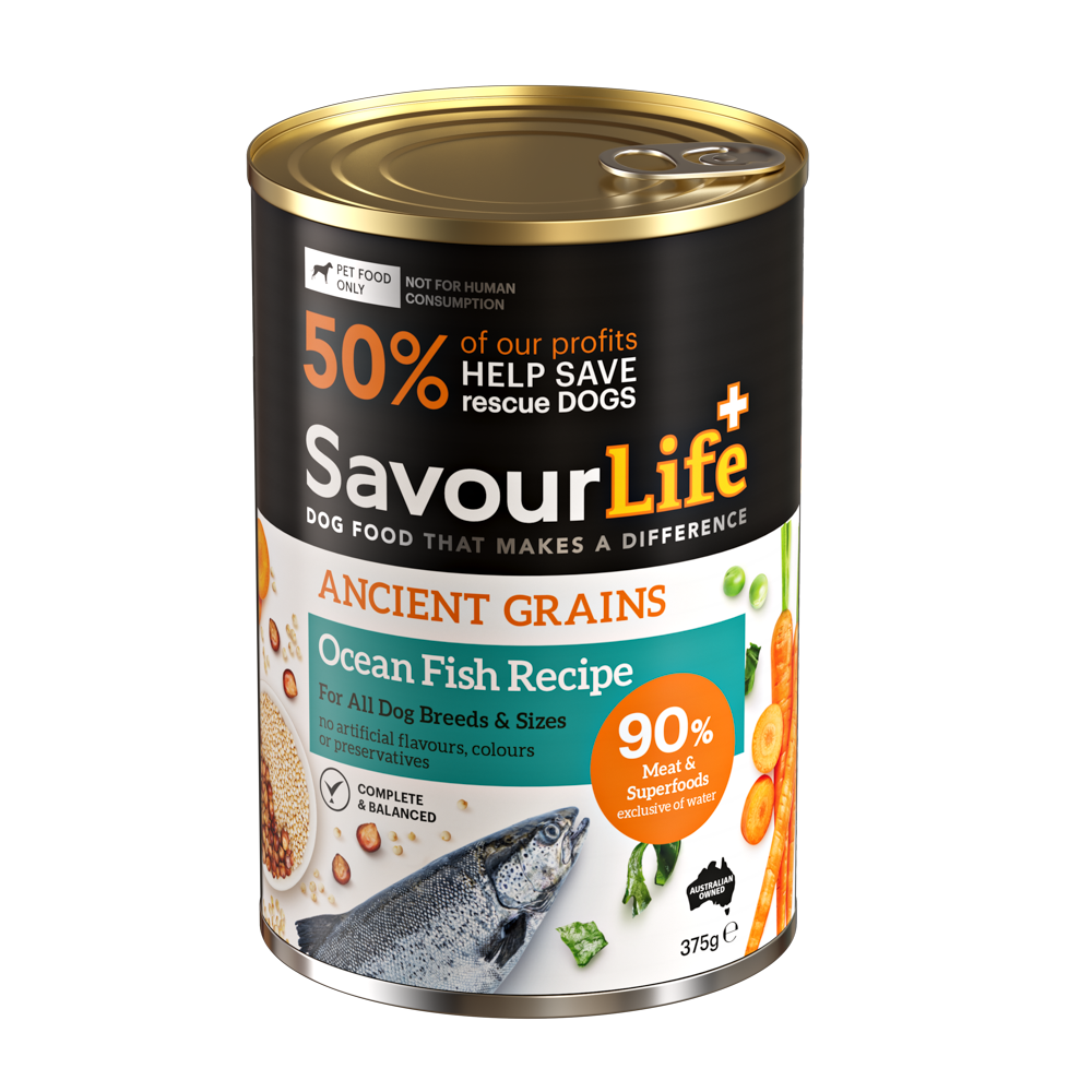 product image of Ancient Grains Adult Ocean Fish